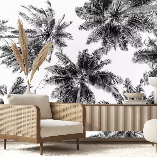 Fototapete Tropical trees background concept. Beautiful exotic nature view, wonderful palm trees, looking up