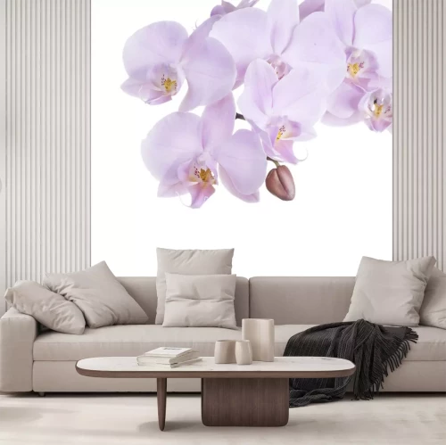 Sticker Fliederblüten mit einer Knospe