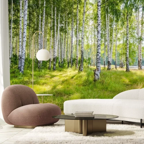 Fototapete Landschaft mit Birkenwald