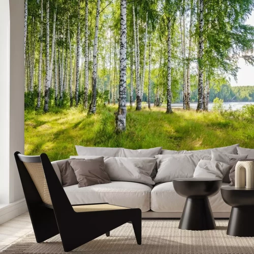 Fototapete Landschaft mit Birkenwald am Fluss