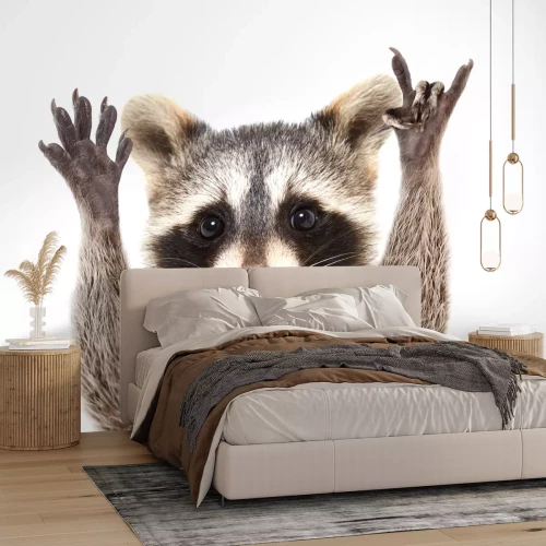 Sticker Waschbär auf weißem Hintergrund