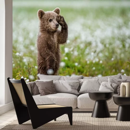 Fototapete Auf zwei Füßen stehendes Bärchen