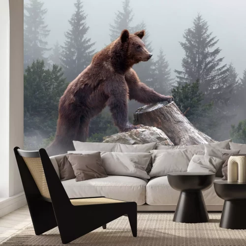 Fototapete Braunbär in einem nebligen Wald