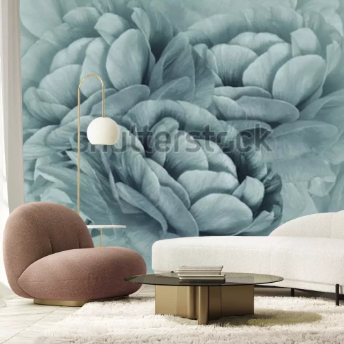 Fototapete Nahaufnahme einer türkisfarbenen Blume