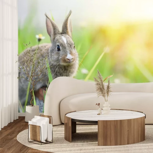 Sticker Kaninchen auf grüner Wiese
