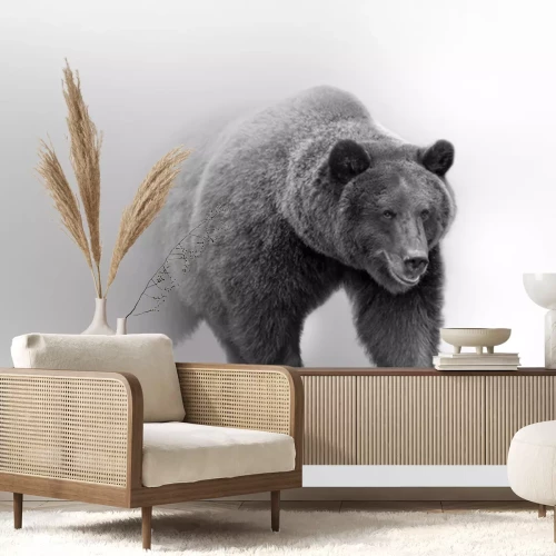 Fototapete Wildbär in Schwarz und Weiß