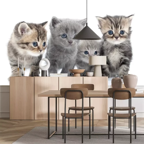 Sticker Haustiere flauschige graue Katzen