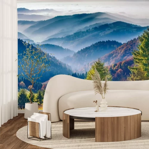 Fototapete Schwarzwald Natur