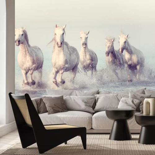 Fototapete Weiße Pferde galoppieren auf dem Meer