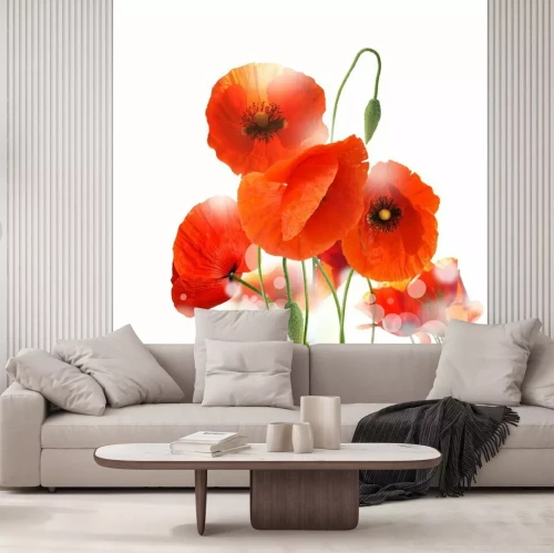 Fototapete Mohnblumen auf weißem Hintergrund