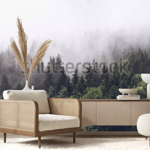 Fototapete In Nebel gehüllter Wald