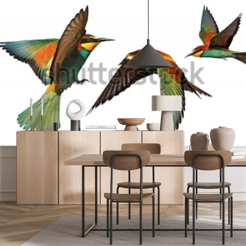 Sticker Tiere mehrfarbige Vögel im Flug