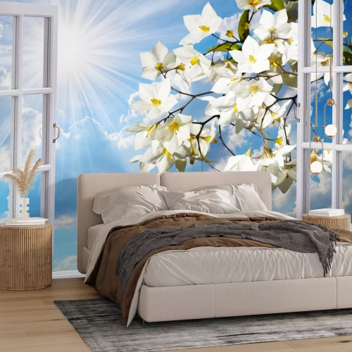 Fototapete Blühende Zweige vor dem Fenster