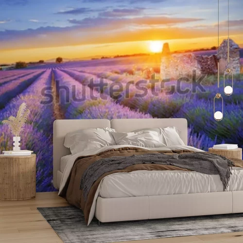 Fototapete Violette Lavendelblumen im Feld