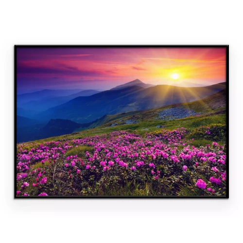 Poster Rosa Blüten vor einer Berglandschaft im Licht der Abenddämmerung