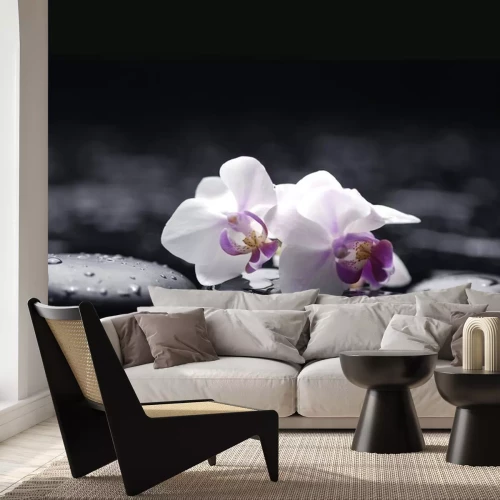 Sticker Zwei Orchidee mit Steinen auf nassen Hintergrund