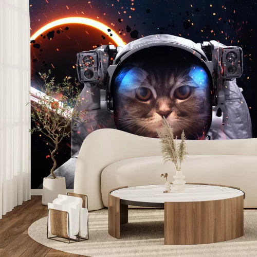 Fototapete Brave cat astronaut at the spacewalk. This image elements furnished by NASA