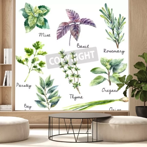 Sticker Aquarell-Sammlung von frischen Kräutern isoliert: Minze, Basilikum, Rosmarin, Petersilie, Oregano, Thymian, Lorbeerblätter, Frühlingszwiebel Handzeichnung Illustration