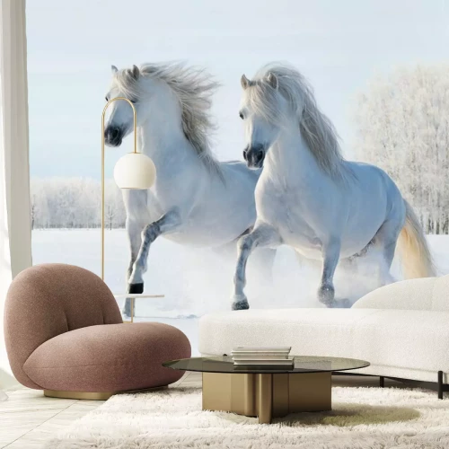 Fototapete Zwei im Schnee galoppierende Pferde
