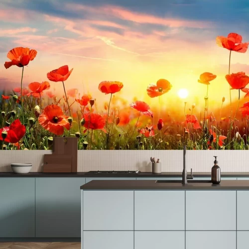 Fototapete Poppies In Field At Sunset