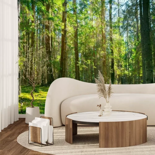 Fototapete Grüne Lichtung im Wald