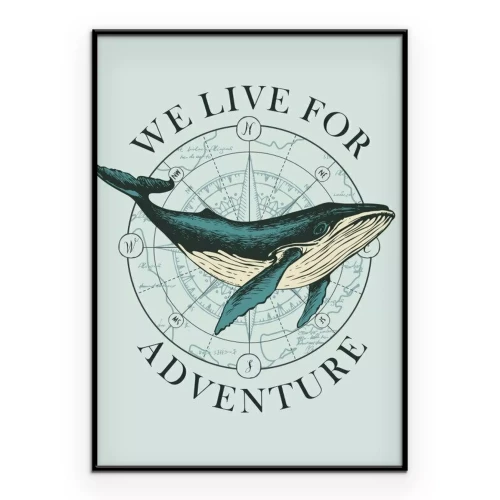 Poster Ein Wal vor dem Hintergrund einer Kompassrose