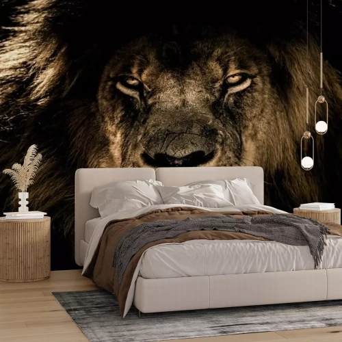 Fototapete Porträt eines Löwen mit üppiger Mähne auf schwarzem Hintergrund