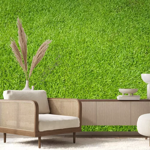 Fototapete Grüner Rasen aus Vogelperspektive