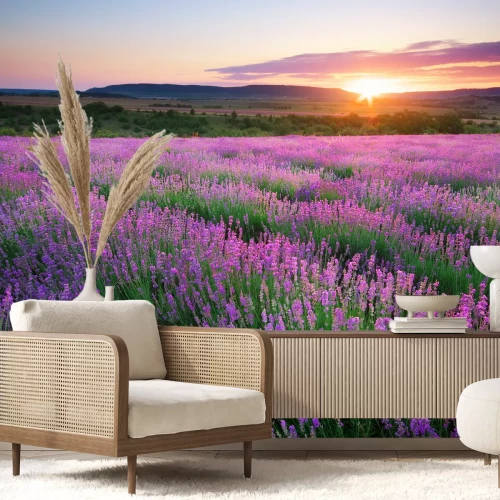 Fototapete Lavendelfeld auf der Landschaft
