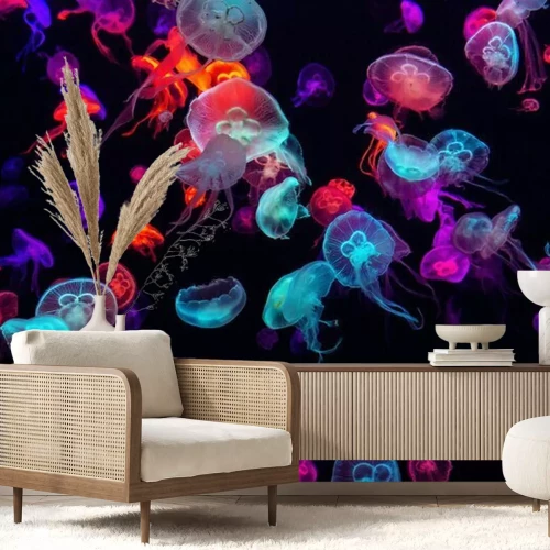 Fototapete Farbige Quallen