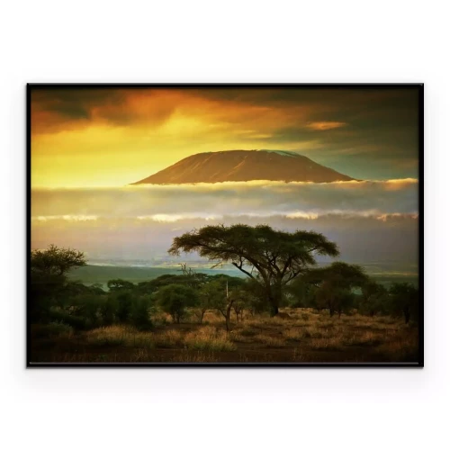 Poster Savannah und Kilimandscharo inmitten der Wolken
