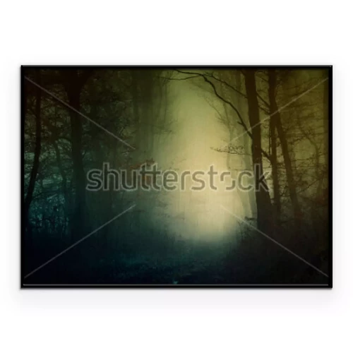 Poster Ein dunkler Wald in der Abenddämmerung mit einem hellen Leuchten in der Mitte