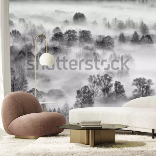 Sticker Schwarzweiss-Landschaft, Nebelwald, Italien