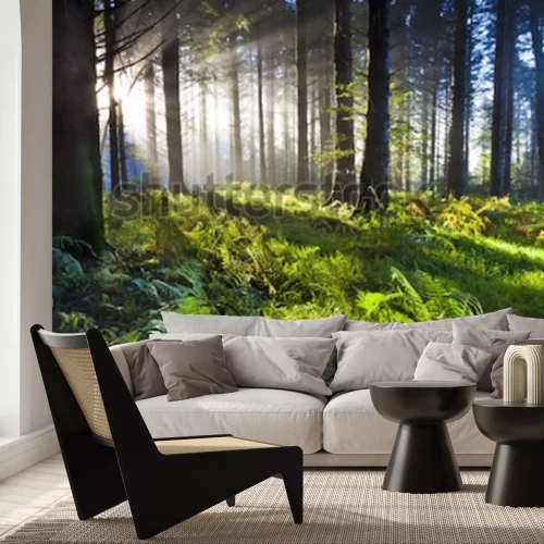 Fototapete Grünes unterholz