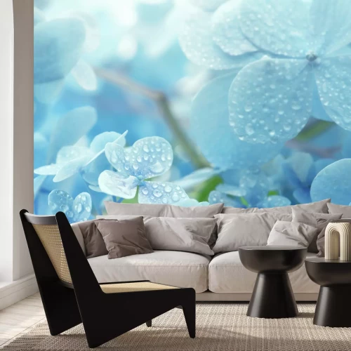 Sticker Blaue Blumen mit Tau bedeckt