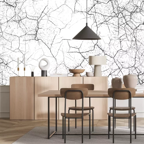 Fototapete Rissige Oberfläche in Schwarz-Weiß