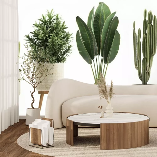 Fototapete Topfpflanzen mit einer Wand im Hintergrund