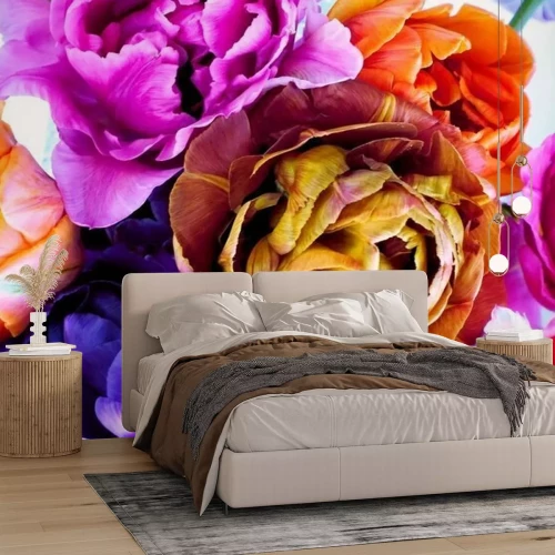 Fototapete Colorful tulips in vintage style