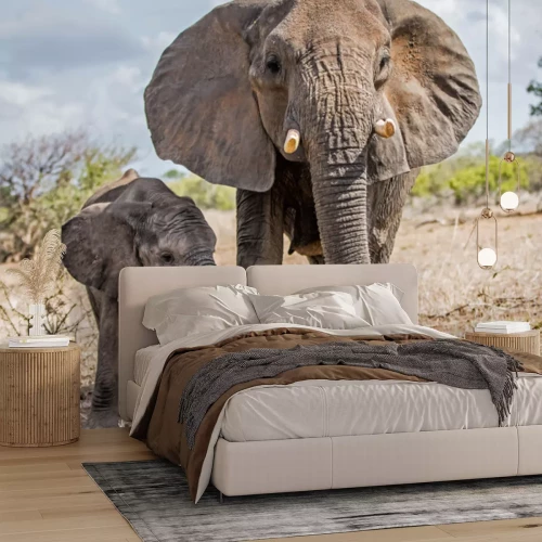 Fototapete Elefanten im Krüger-Nationalpark