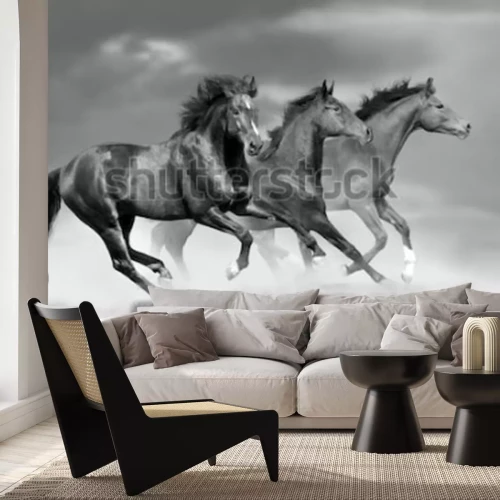 Fototapete Pferde und ponys