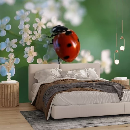 Sticker Blick auf Marienkäfer, der auf weißen Blüten sitzt