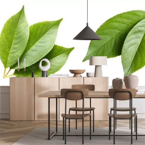 Sticker Set of green leaves, isolated on white background