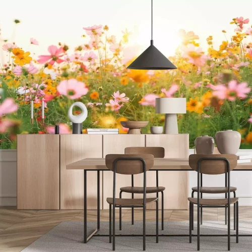 Fototapete Feld mit Kosmosblumen an einem sonnigen Tag