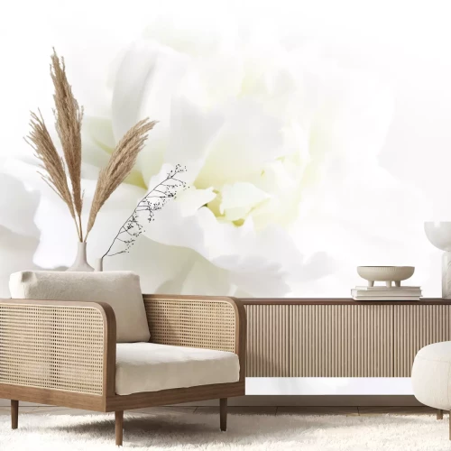 Sticker Zarte weiße Blütenblätter