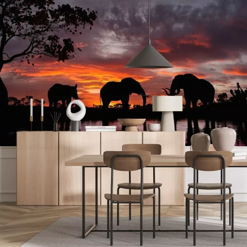 Fototapete Schwarze Bilder von Elefanten