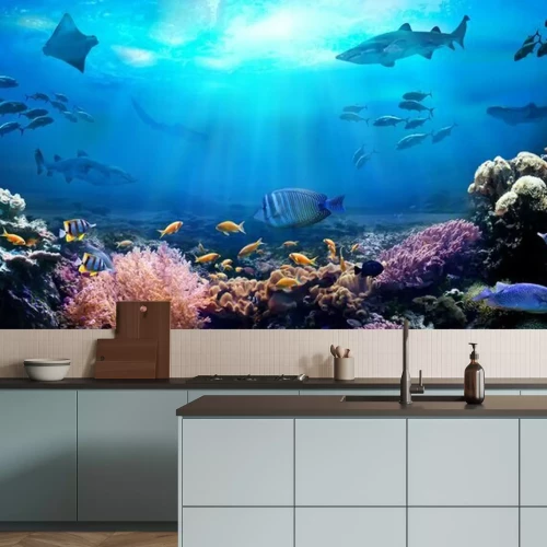 Fototapete Meeresboden Fische und Korallenriff