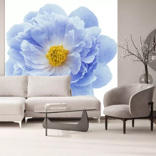 Sticker Pfingstrose in einer zarten Farbe