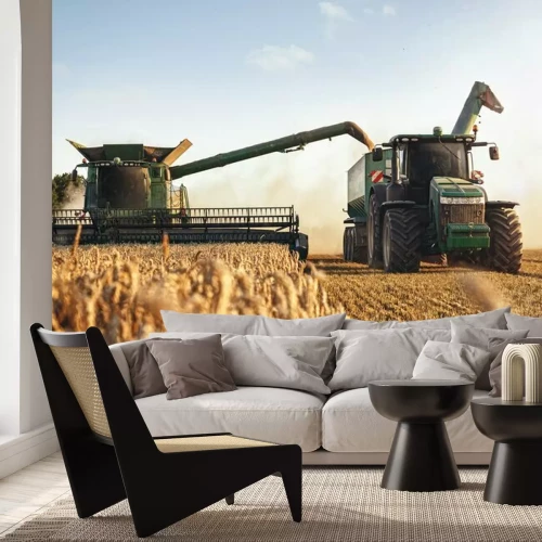 Fototapete Mähdrescher und Traktor bei der Ernte auf einem Weizenfeld