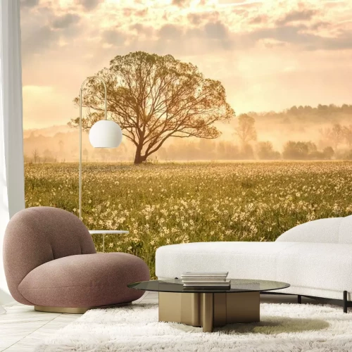 Fototapete Amazing nature landscape with single tree and flowering meadow of white wild growing narcissus flowers in morning dew at sunrise. Daffodil valley, nature reserve near Khust, Transcarpathia, Ukraine