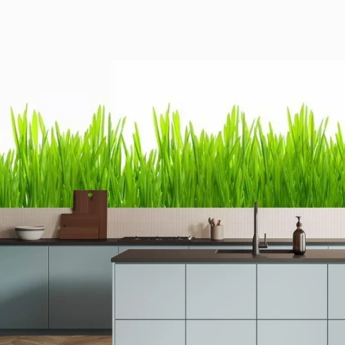 Fototapete Frisches grünes junges Gras